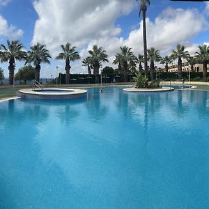 Apartamento En Bajo Con Jardin Y Patio En La Playa
